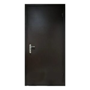 Вхідні металеві двері “Економ”